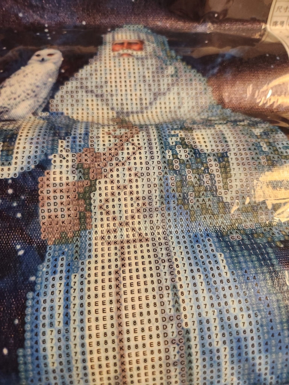 Source Unknown Blue and White Santa with Owl Diamond Painting Canvas